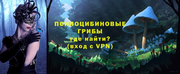 первитин Бородино