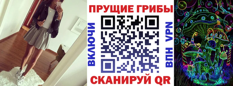 Галлюциногенные грибы Magic Shrooms  купить  цена  Волгореченск 